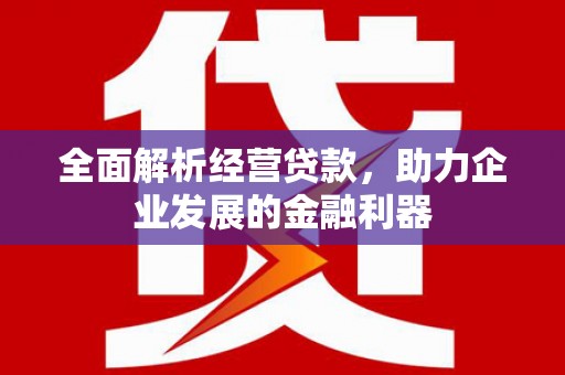 枣阳全面解析经营贷款，助力企业发展的金融利器