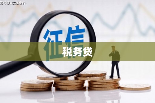 枣阳税务贷
