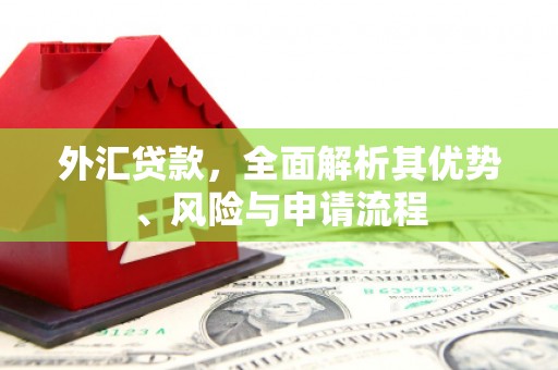 枣阳外汇贷款，全面解析其优势、风险与申请流程