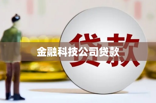 枣阳金融科技公司贷款