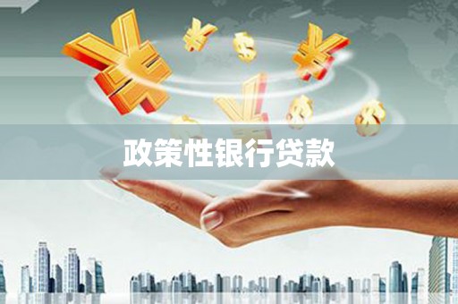 枣阳政策性银行贷款
