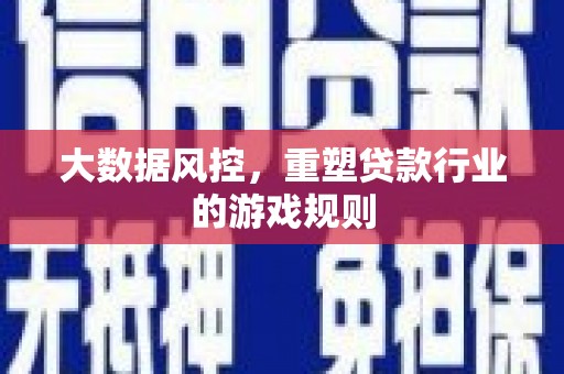 枣阳大数据风控，重塑贷款行业的游戏规则