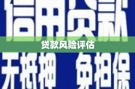 枣阳贷款风险评估