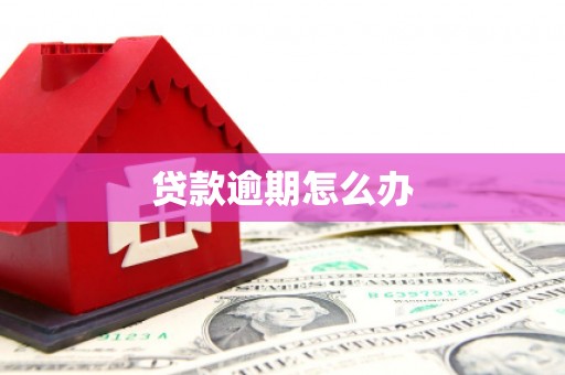 枣阳贷款逾期怎么办