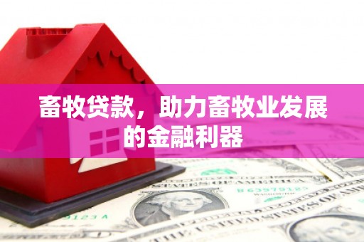 枣阳畜牧贷款，助力畜牧业发展的金融利器
