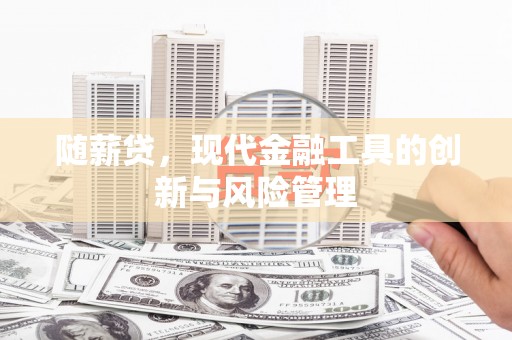 枣阳随薪贷，现代金融工具的创新与风险管理