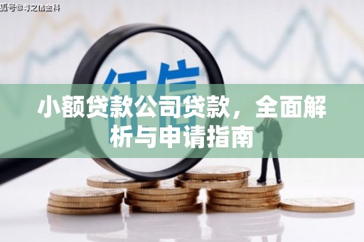 枣阳小额贷款公司贷款，全面解析与申请指南