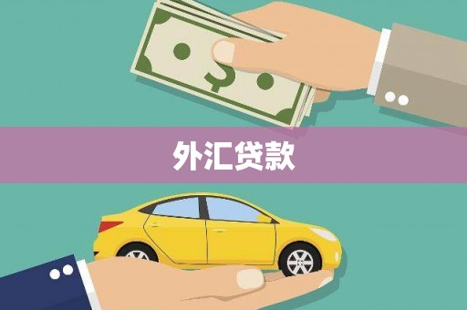 枣阳外汇贷款