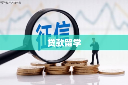 枣阳贷款留学
