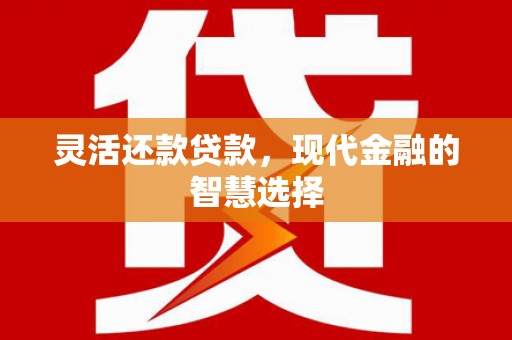 枣阳灵活还款贷款，现代金融的智慧选择