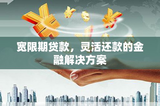 枣阳宽限期贷款，灵活还款的金融解决方案