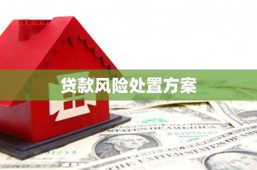 枣阳贷款风险处置方案