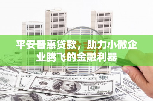 枣阳平安普惠贷款，助力小微企业腾飞的金融利器