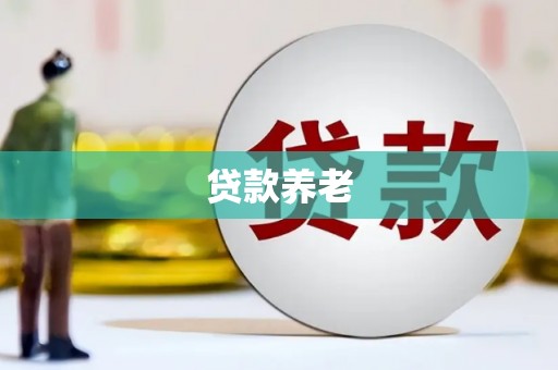 枣阳贷款养老