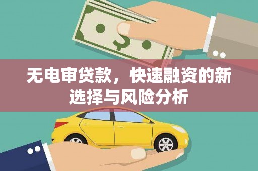 枣阳无电审贷款，快速融资的新选择与风险分析