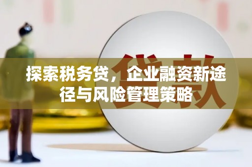 枣阳探索税务贷，企业融资新途径与风险管理策略