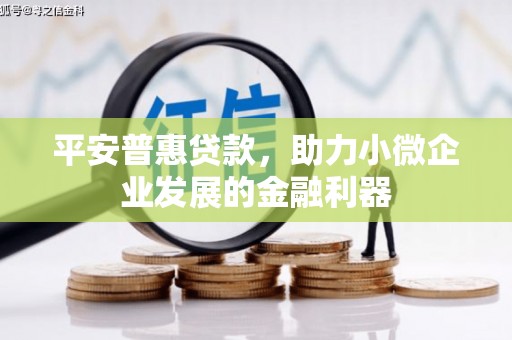 枣阳平安普惠贷款，助力小微企业发展的金融利器
