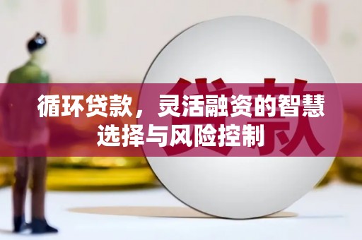 枣阳循环贷款，灵活融资的智慧选择与风险控制