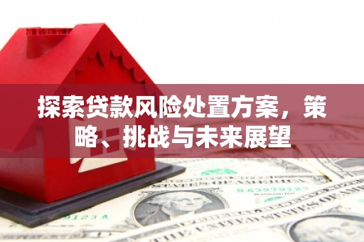枣阳探索贷款风险处置方案，策略、挑战与未来展望