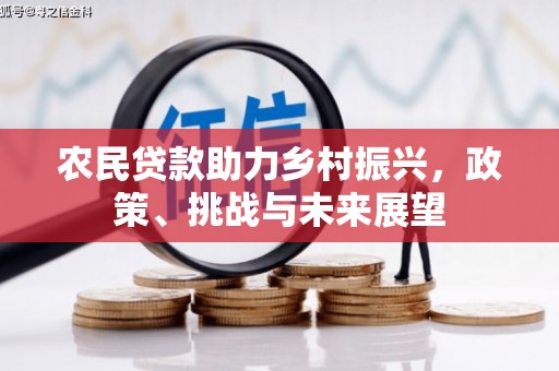 枣阳农民贷款助力乡村振兴，政策、挑战与未来展望