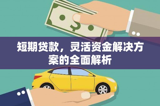 枣阳短期贷款，灵活资金解决方案的全面解析