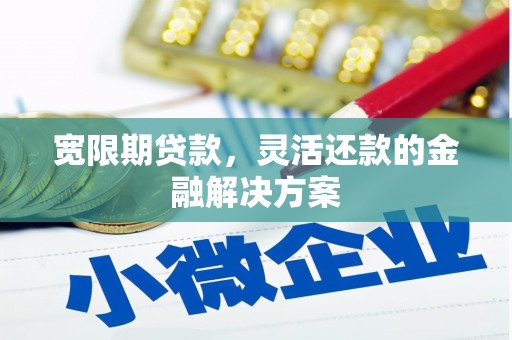 枣阳宽限期贷款，灵活还款的金融解决方案