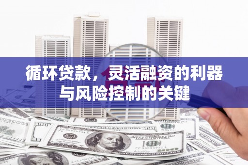 枣阳循环贷款，灵活融资的利器与风险控制的关键