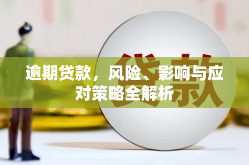枣阳逾期贷款，风险、影响与应对策略全解析