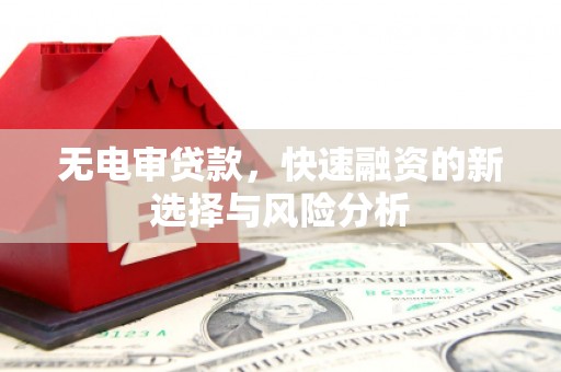 枣阳无电审贷款，快速融资的新选择与风险分析
