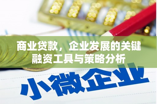 枣阳商业贷款，企业发展的关键融资工具与策略分析