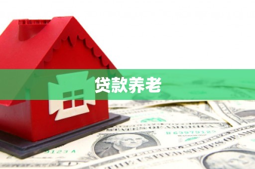枣阳贷款养老