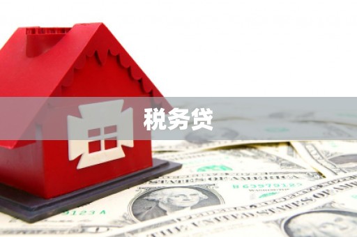 枣阳税务贷