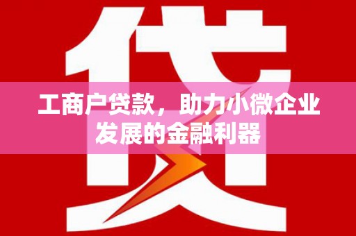 枣阳工商户贷款，助力小微企业发展的金融利器