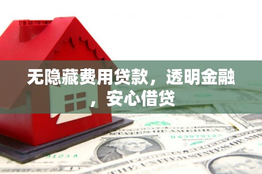 枣阳无隐藏费用贷款，透明金融，安心借贷