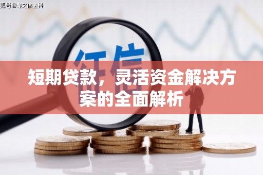 枣阳短期贷款，灵活资金解决方案的全面解析