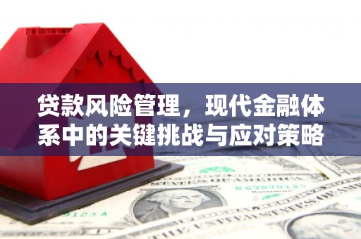 枣阳贷款风险管理，现代金融体系中的关键挑战与应对策略