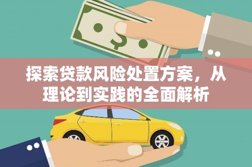 枣阳探索贷款风险处置方案，从理论到实践的全面解析