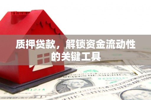 枣阳质押贷款，解锁资金流动性的关键工具