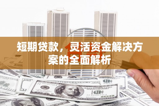 枣阳短期贷款，灵活资金解决方案的全面解析