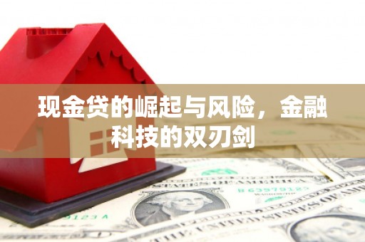枣阳现金贷的崛起与风险，金融科技的双刃剑