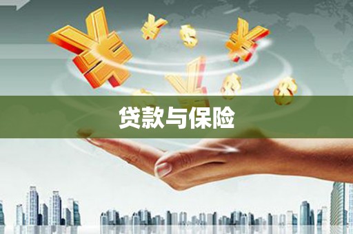 枣阳贷款与保险