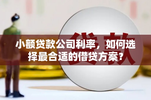 枣阳小额贷款公司利率，如何选择最合适的借贷方案？