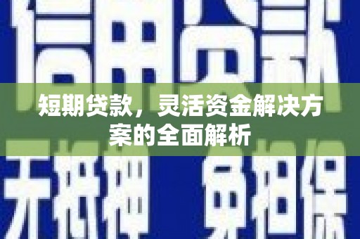 枣阳短期贷款，灵活资金解决方案的全面解析