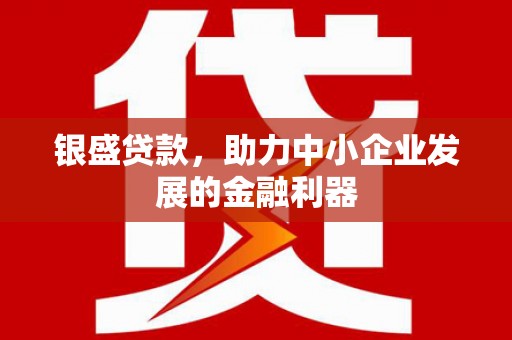 枣阳银盛贷款，助力中小企业发展的金融利器
