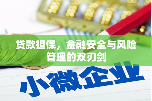 枣阳贷款担保，金融安全与风险管理的双刃剑