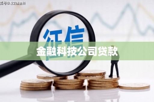 枣阳金融科技公司贷款