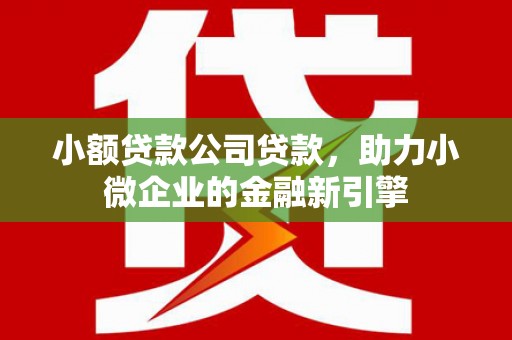 枣阳小额贷款公司贷款，助力小微企业的金融新引擎