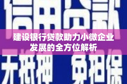 枣阳建设银行贷款助力小微企业发展的全方位解析