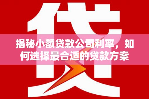 枣阳揭秘小额贷款公司利率，如何选择最合适的贷款方案