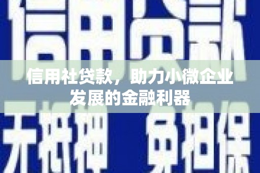 枣阳信用社贷款，助力小微企业发展的金融利器